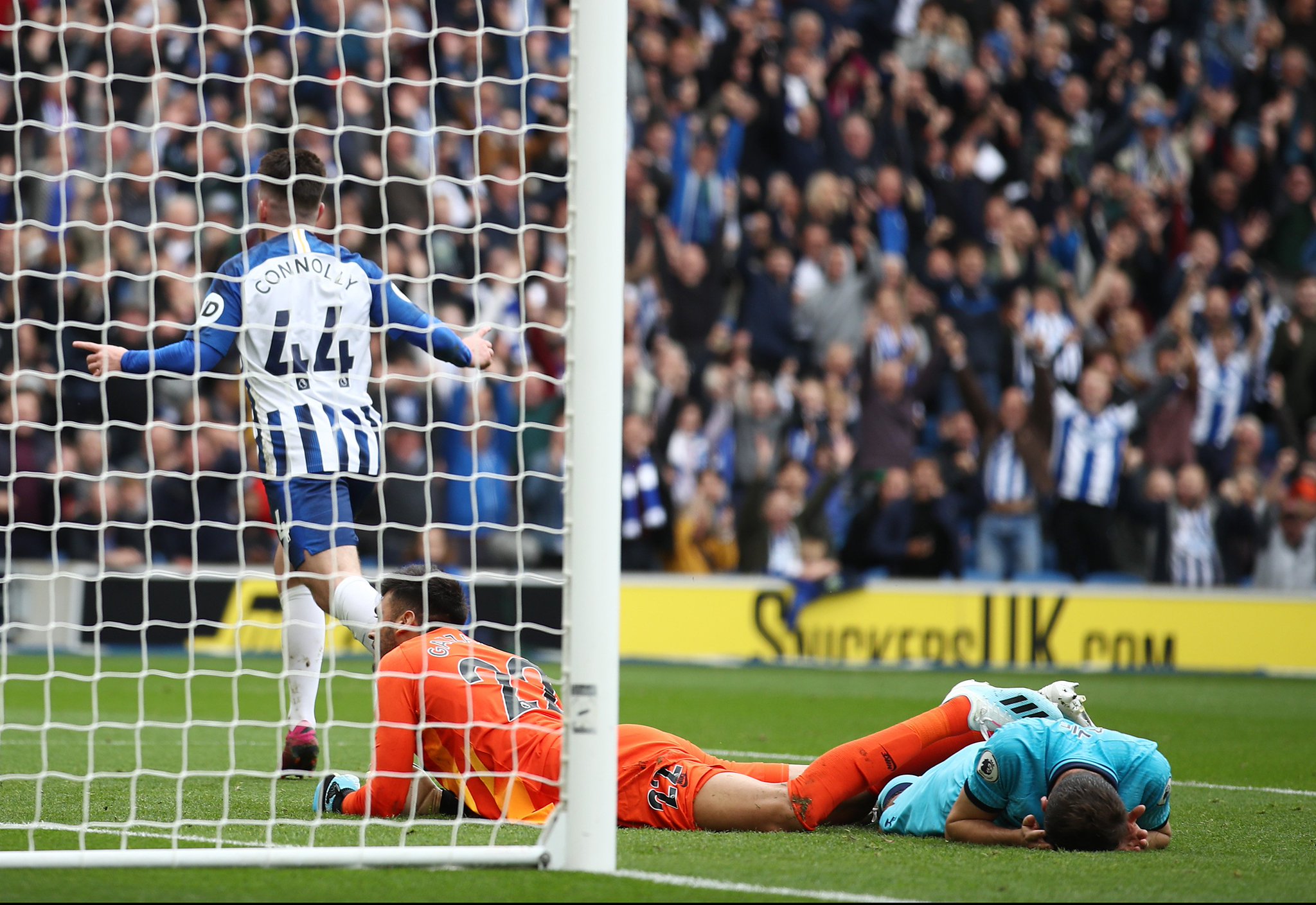 不仅为篮球 不仅为篮球