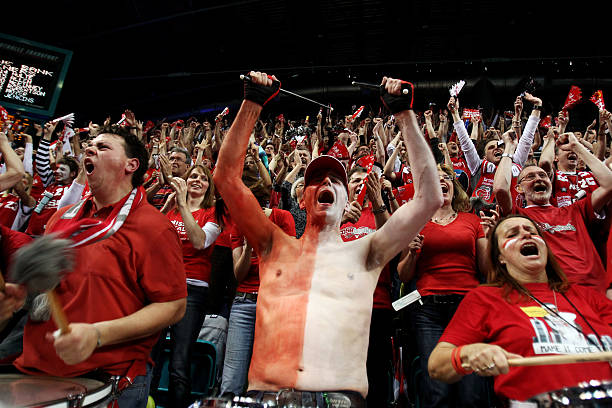 这无疑为尼 这无疑为尼